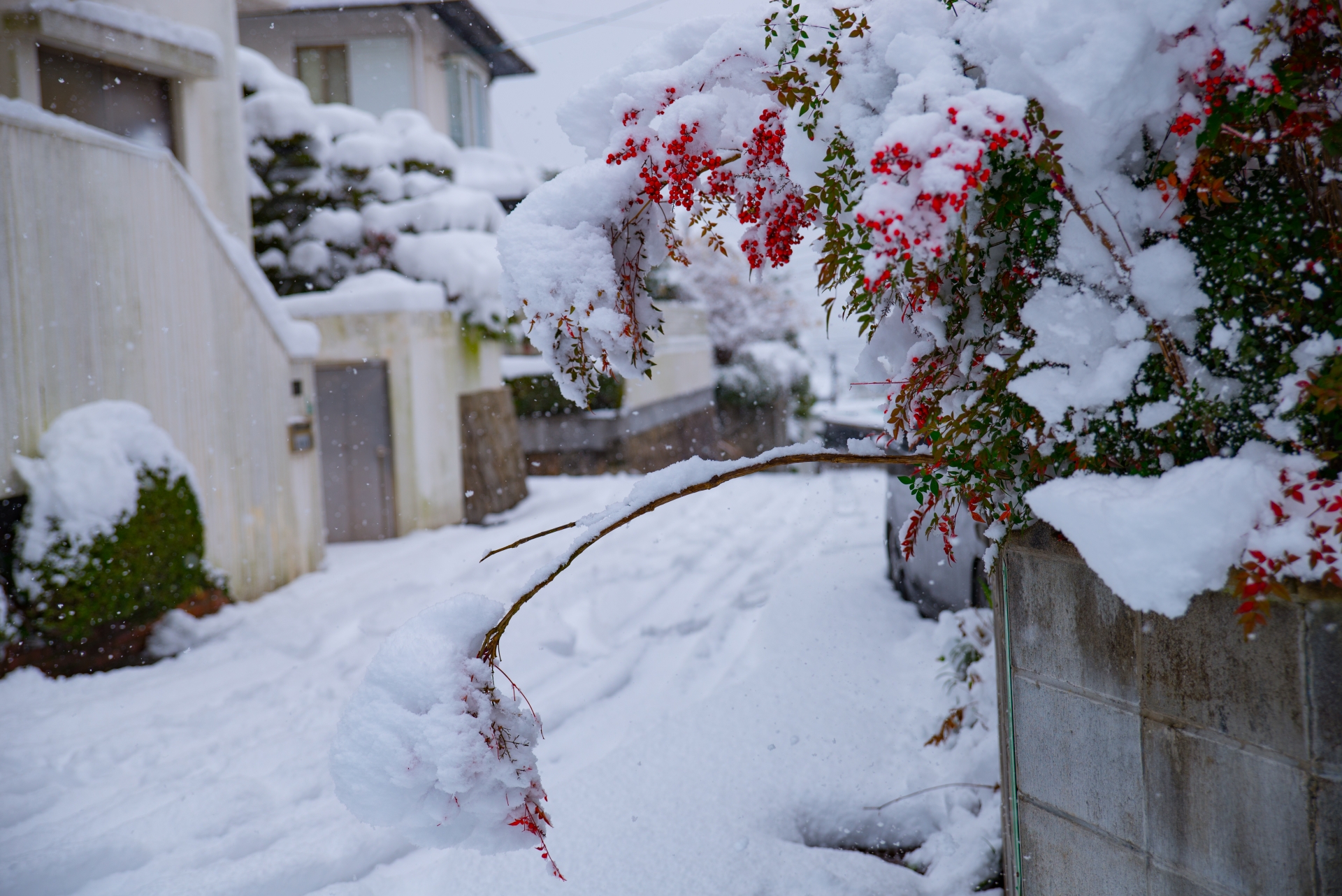 雪が多い地域の住宅